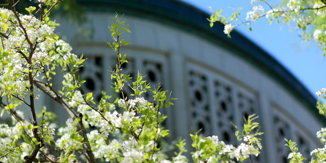 欧博abg - 官方网站登录入口