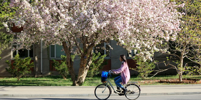 欧博abg - 官方网站登录入口