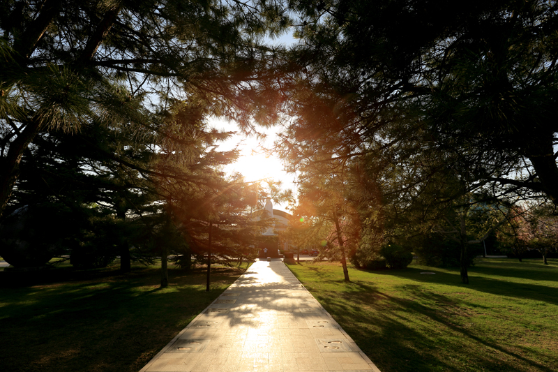 欧博abg - 官方网站登录入口