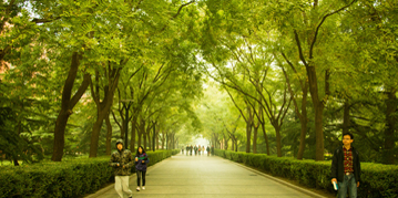 欧博abg - 官方网站登录入口