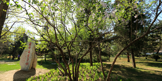 欧博abg - 官方网站登录入口