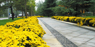 欧博abg - 官方网站登录入口