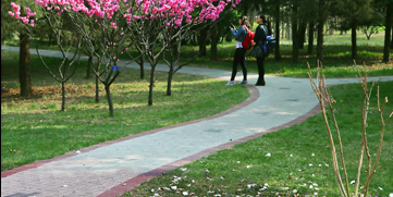 欧博abg - 官方网站登录入口