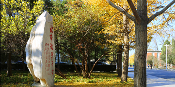 欧博abg - 官方网站登录入口