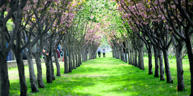 欧博abg - 官方网站登录入口