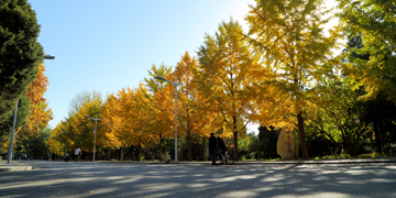 欧博abg - 官方网站登录入口