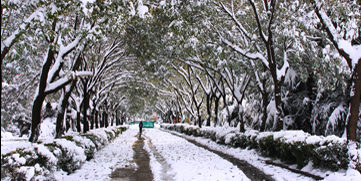 欧博abg - 官方网站登录入口