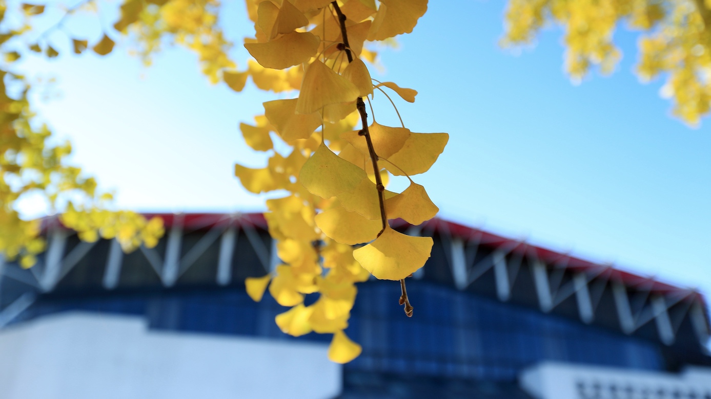 欧博abg - 官方网站登录入口