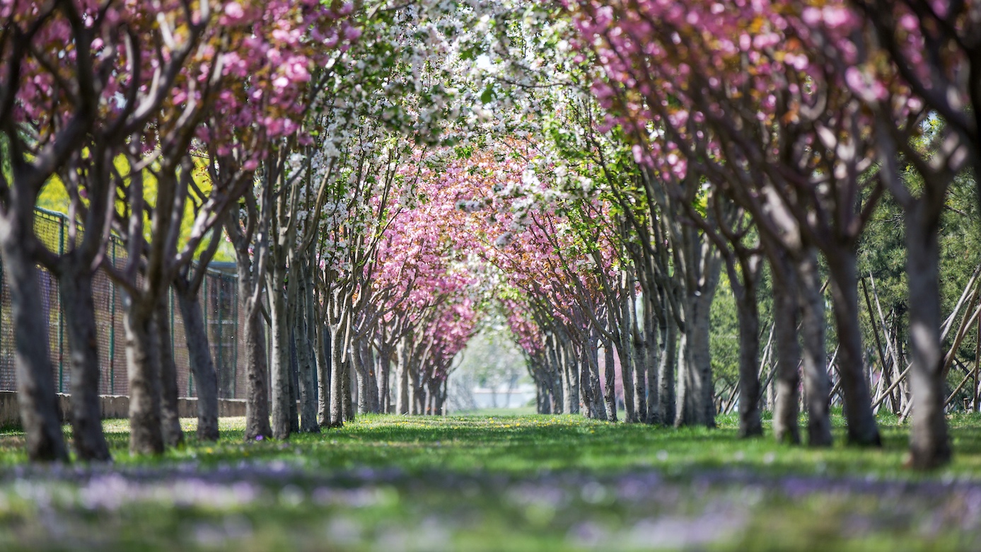 欧博abg - 官方网站登录入口