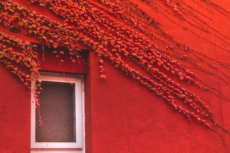 欧博abg - 官方网站登录入口