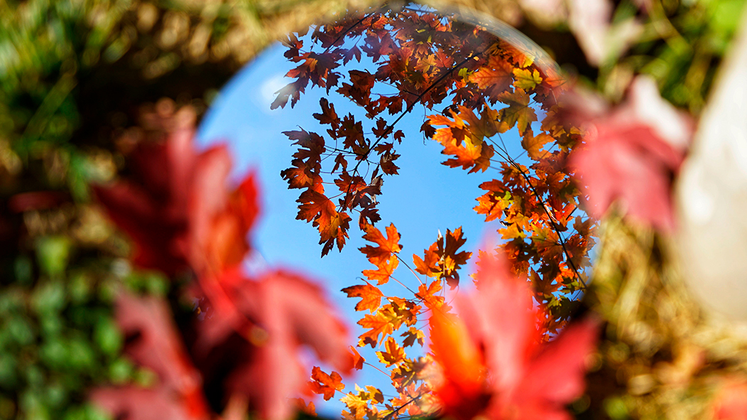欧博abg - 官方网站登录入口