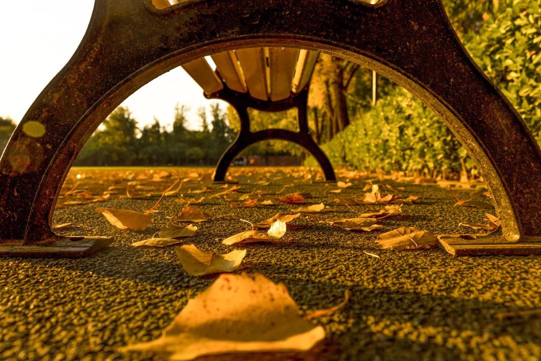 欧博abg - 官方网站登录入口