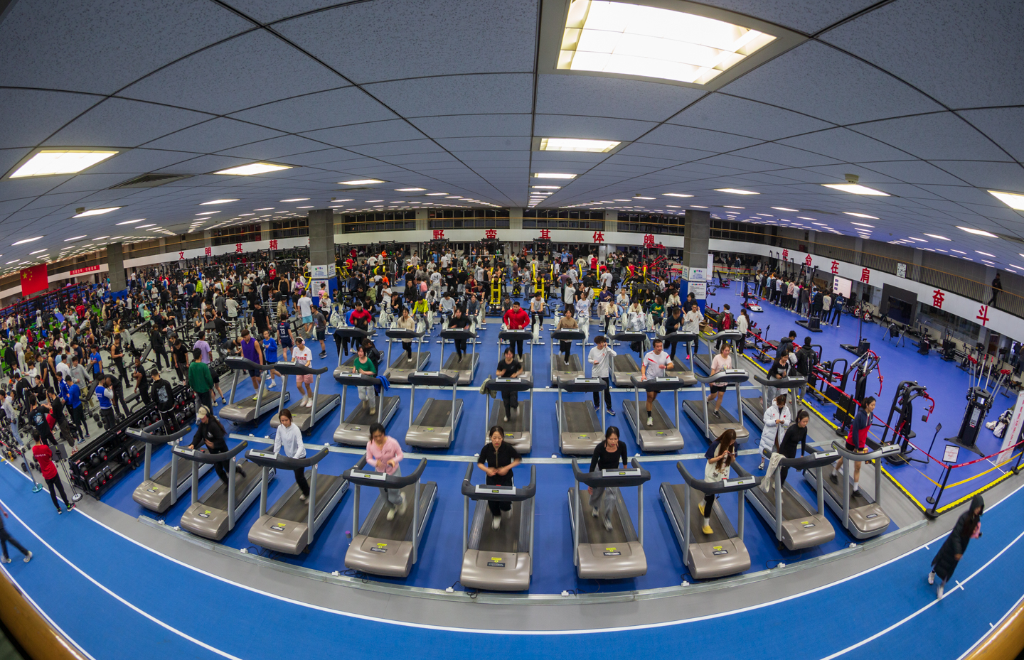 欧博abg - 官方网站登录入口