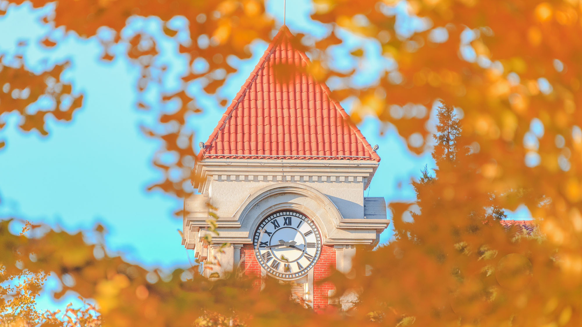 欧博abg - 官方网站登录入口